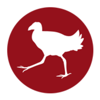 Pukeko Design Studio Thumbnail